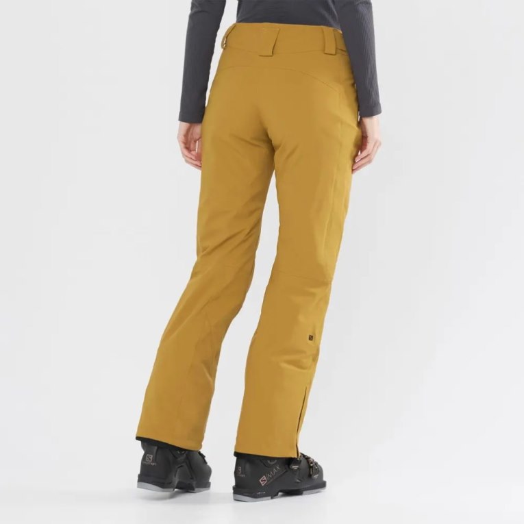 Calça De Esqui Salomon The Brilliant Feminino Marrom | PT W27058